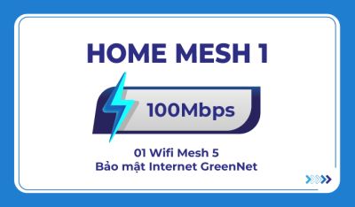 HOME MESH 1